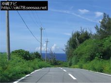 200807国道58号線から辺戸岬へ続く道路.jpg