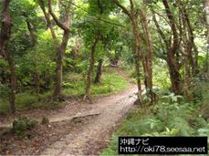 200807斎場御嶽〜道JPG.jpg