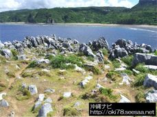 200807辺戸岬〜石灰岩.jpg