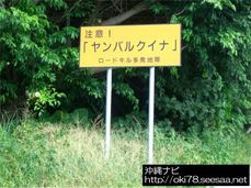 200807辺戸岬周辺道路にある看板.jpg